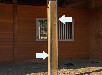 chewprotection DC Builders specializes in chew protection construction.