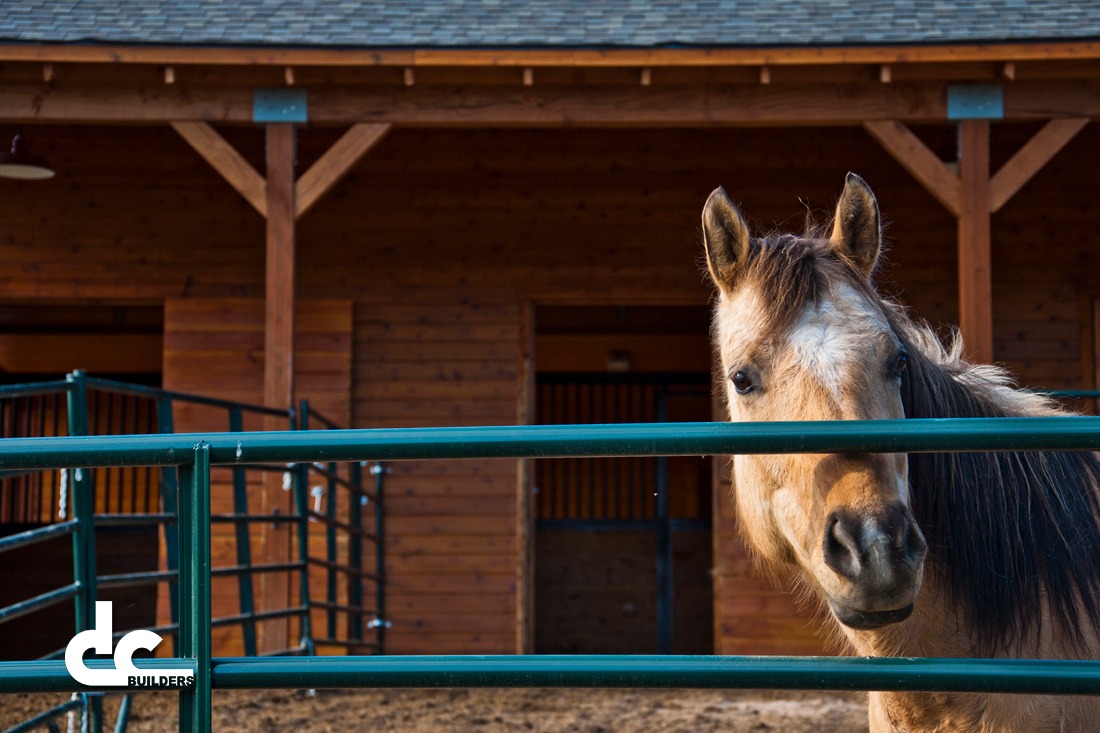 DC Builders specializes in building custom barns and barn homes for caring for your horses.