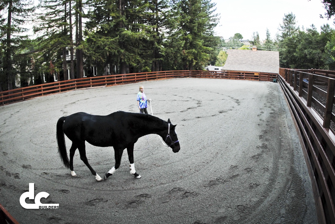 This custom riding area was custom designed and built by DC Builders.