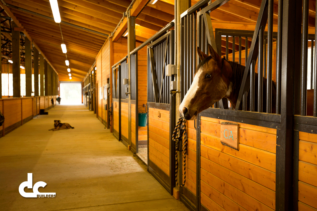 The horse stalls in this equestrian facility make it the most functional space for your horse business.
