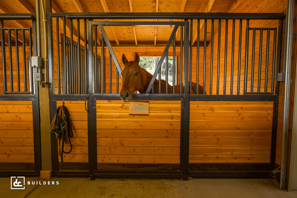 Horse Riding Arenas Design And Construction Dc Builders